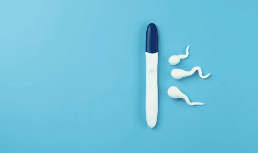 Male Fertility Blood Test