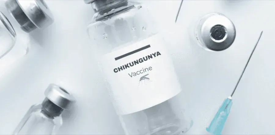 Chikungunya Vaccination